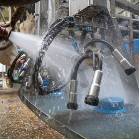 SATOL CHEMICALS: Specialty Cleaning & Hygiene Solutions for Dairy Industry