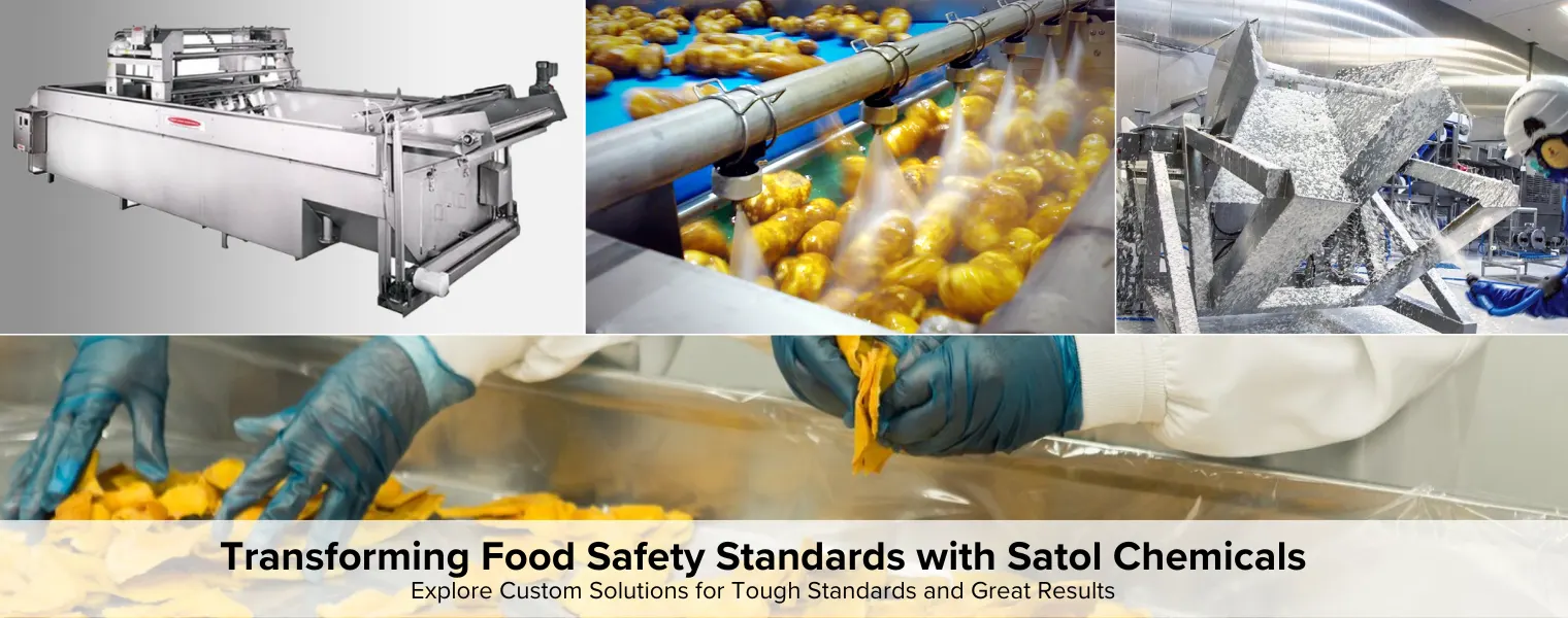 Food processing plant with vegetable washing, equipment cleaning, and industrial hygiene solutions for food safety